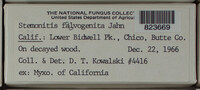Image Associated With the Occurence